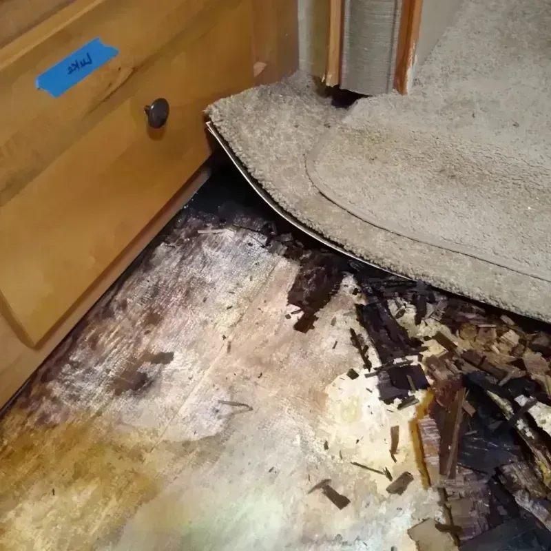 Best Wood Floor Water Damage Service in Chesilhurst, NJ